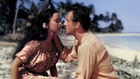 «Все братья были храбрецами (1953)» — обои к фильму #1