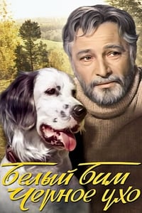 Imagem do Filme Белый Бим Чёрное ухо