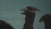 Rodan