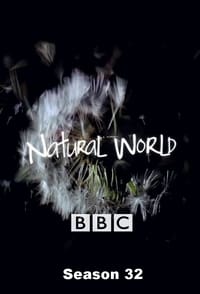 Watch Natural World - Season 32 123Movies