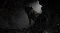 Обои к мультфильму «Король Лев (2019)» — (23 из 53)