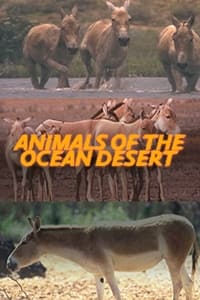 Poster de Animals of the Ocean Desert