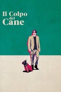 Poster de Il colpo del cane