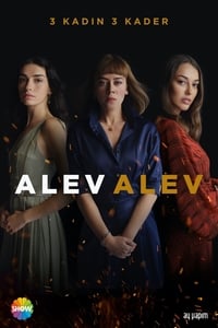 copertina serie tv Alev+Alev 2020