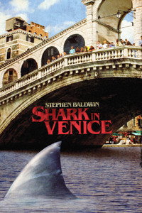 Sharks in Venice