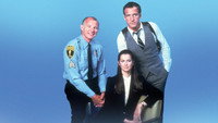 «Блюз Хилл-стрит (1981-1987)» — обои к сериалу #7
