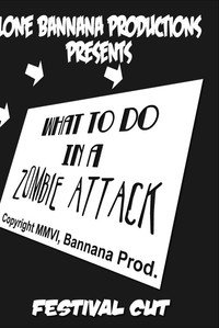 Постер к фильму What to Do in a Zombie Attack (2006)