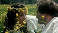 «Верная река (1987)» — обои к фильму #7