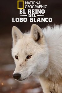 Poster de Kingdom of the White Wolf