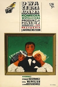 Dwa żebra Adama (1964)