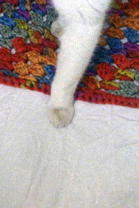 Henry is a Girl Who Likes to Sleep