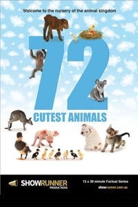 tv show poster 72+Cutest+Animals 2016