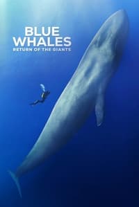 Poster de Blue Whales: Return of the Giants