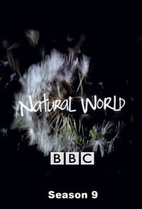 Watch Natural World - Season 9 123Movies