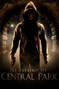 Poster de El Asesino de Central Park