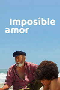 Постер фильма «Невозможная любовь (2003)» — (4 из 4)