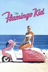 The Flamingo Kid