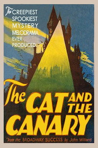 Постер фильма «Кот и канарейка (1927)» — (6 из 17)