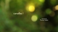 Minuscule: The Private Life of Insects Season 2 Episode 5