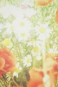 Постер фильма «Bärbel und Charly (1994)» — (3 из 6)
