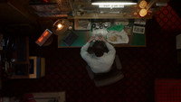«Сука-судьба (2016)» — обои к фильму #5