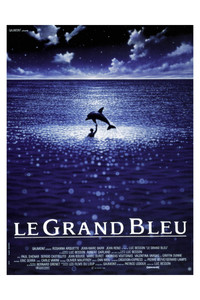 Affiche de la recommandation : Le Grand Bleu