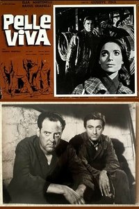 Pelle viva (1962)