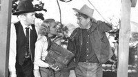«Horse Play (1933)» — обои к фильму #1