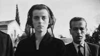 Обои к фильму «Стелла (1955)» — (11 из 19)