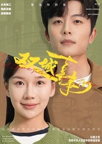 Poster de 双城喜事