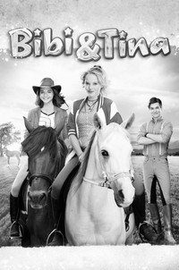 Постер фильма «Биби и Тина (2014)» — (2 из 20)