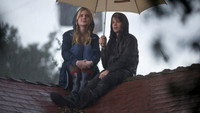 Обои к фильму «Мы купили зоопарк (2011)» — (14 из 34)