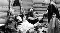 «Jaws of Justice (1933)» — обои к фильму #1