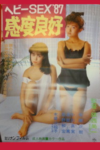 Heavy sex '87: Kando ryôkô (1987) subtitle poster