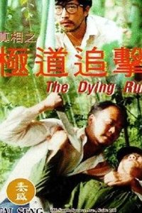 真相之二極道追擊 (1994)