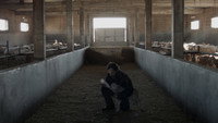 «O Guardador (2015)» — обои к фильму #1