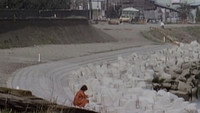 «ビニール本の女 密写全裸 (1981)» — обои к фильму #6