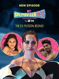 tv show poster MTV+Splitsvilla 2008