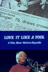 Poster de Love It Like a Fool