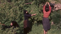 «Un giorno in Barbagia (1958)» — обои к фильму #3