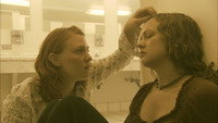 «Голая обезьяна (2006)» — обои к фильму #2