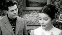 «Все влюблены (1959)» — обои к фильму #1