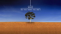 «Who Do You Think You Are? (2008)» — обои к сериалу #1
