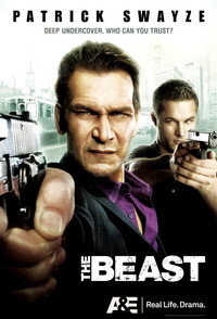 Постер сериала «Зверь (2009)» — (2 из 8)