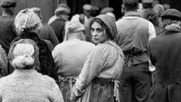 Обои к фильму «Девушка с иглой (2024)» — (18 из 65)