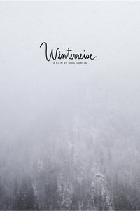 Poster do Filme Winterreise