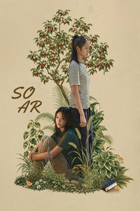 Soar