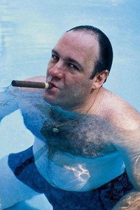 Постер сериала «Сопрано (1999-2007)» — (12 из 65)