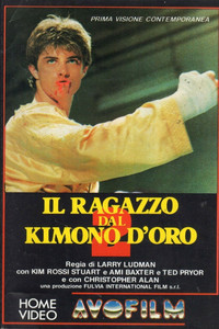 Il ragazzo dal kimono d'oro 2 poster