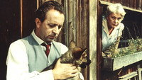 «Папа, достань щенка! (1964)» — обои к фильму #1